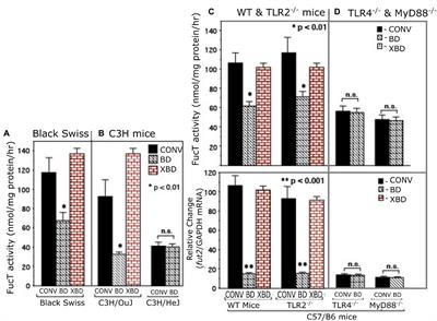 Fucosylated TLR4 mediates communication between mutualist fucotrophic microbiota and mammalian gut mucosa